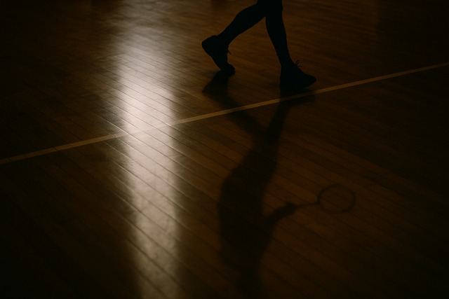 court-shadow-racket | court-shadow-racket | court-shadow-racket | court-shadow-racket