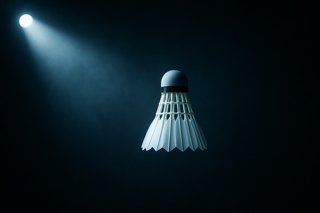 shuttlecock-under-spotlight | shuttlecock-under-spotlight | shuttlecock-under-spotlight | shuttlecock-under-spotlight