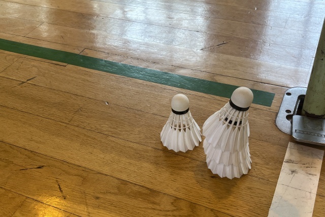 shuttles-gym-floor | shuttles-gym-floor | shuttles-gym-floor | shuttles-gym-floor