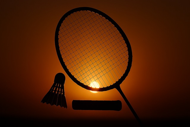 sunset-racket-silhouette | sunset-racket-silhouette | sunset-racket-silhouette | sunset-racket-silhouette